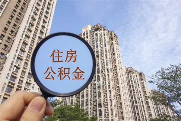 内蒙古辞职了补充公积金能取不（辞职后补充公积金如何提取）
